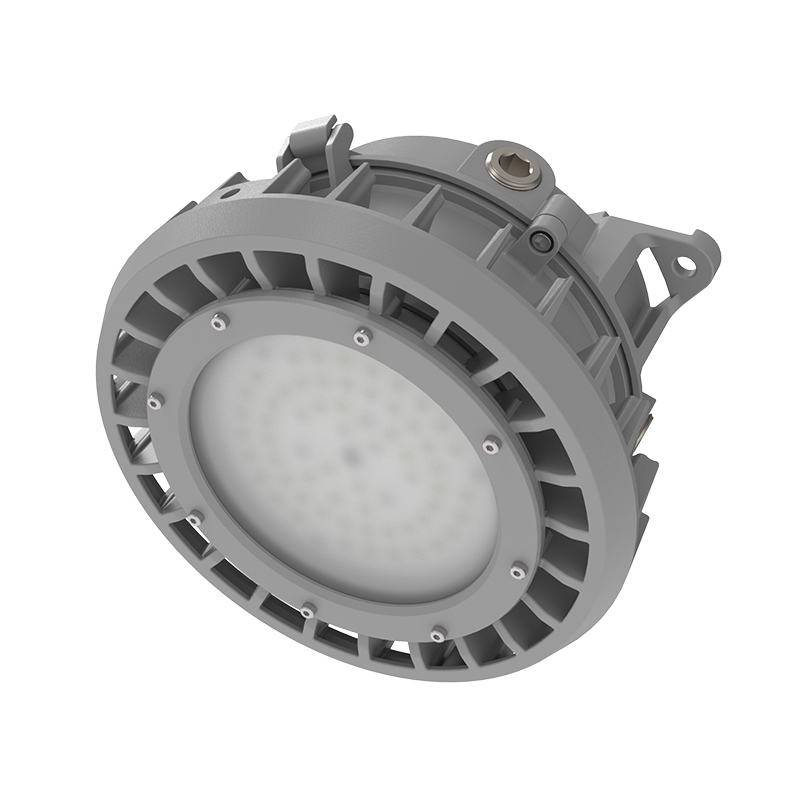 LEHL1G2  |  Hazardous Location LED Light Fixture