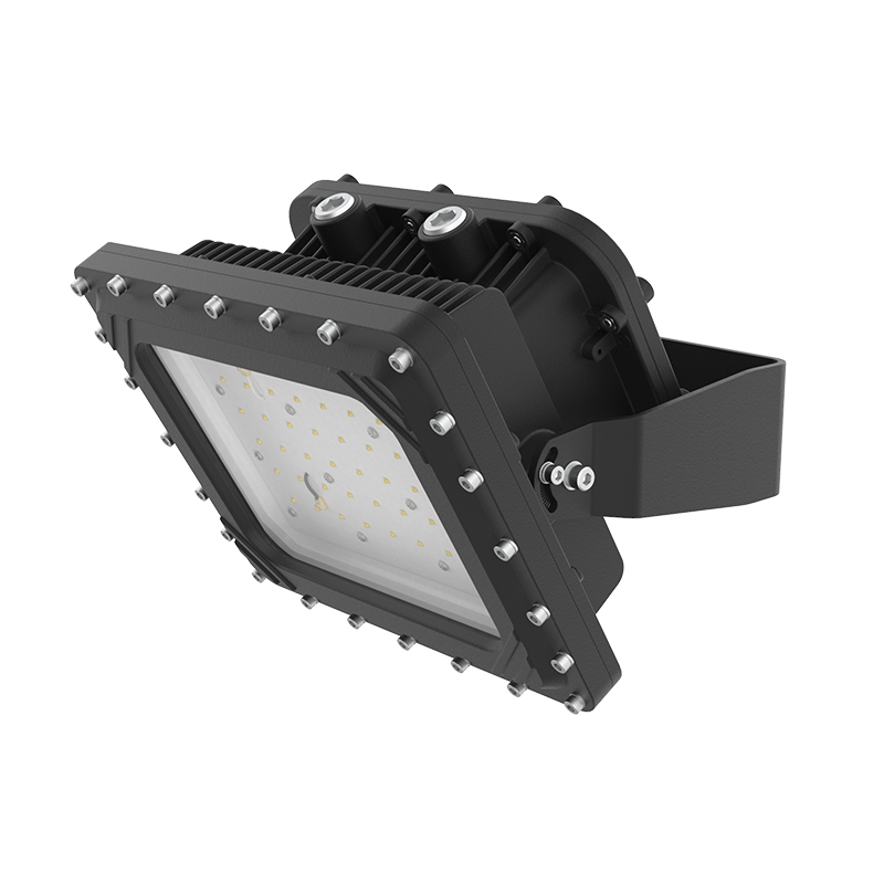 LEXFG2  |  Explosion Proof LED Light Fixture