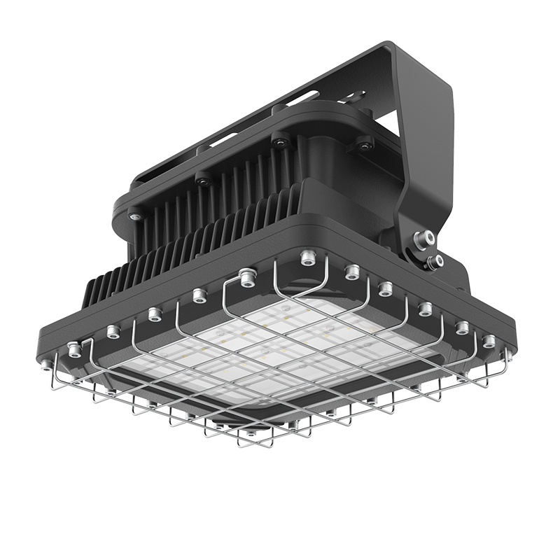 LEXFG2  |  Explosion Proof LED Light Fixture