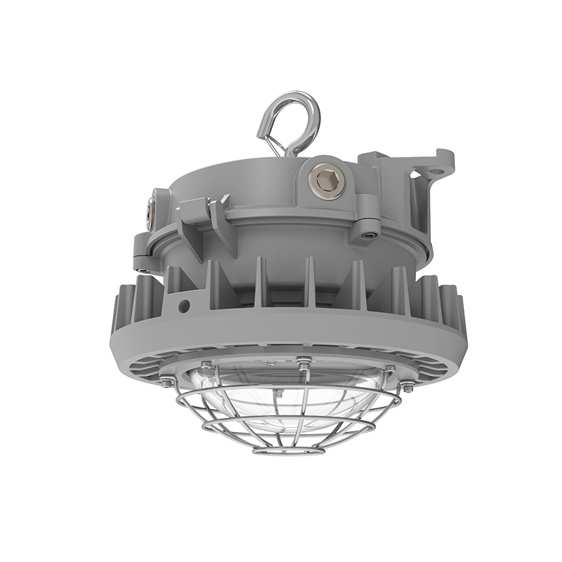 LEHL1G2  |  Hazardous Location LED Light Fixture